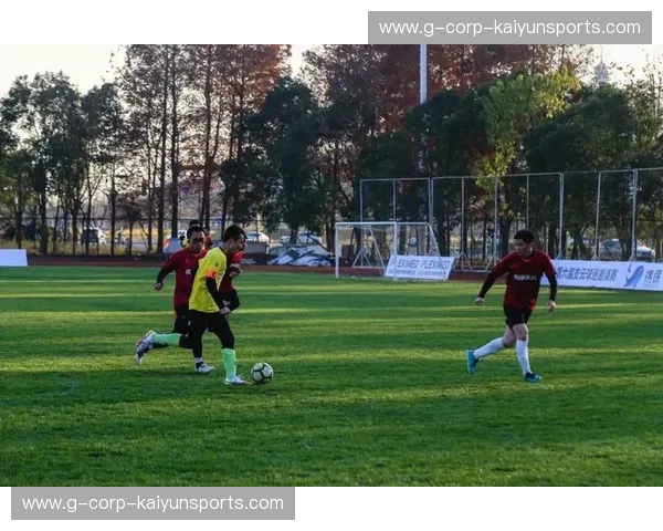 开云体育联赛资讯：全新体验，精彩纷呈